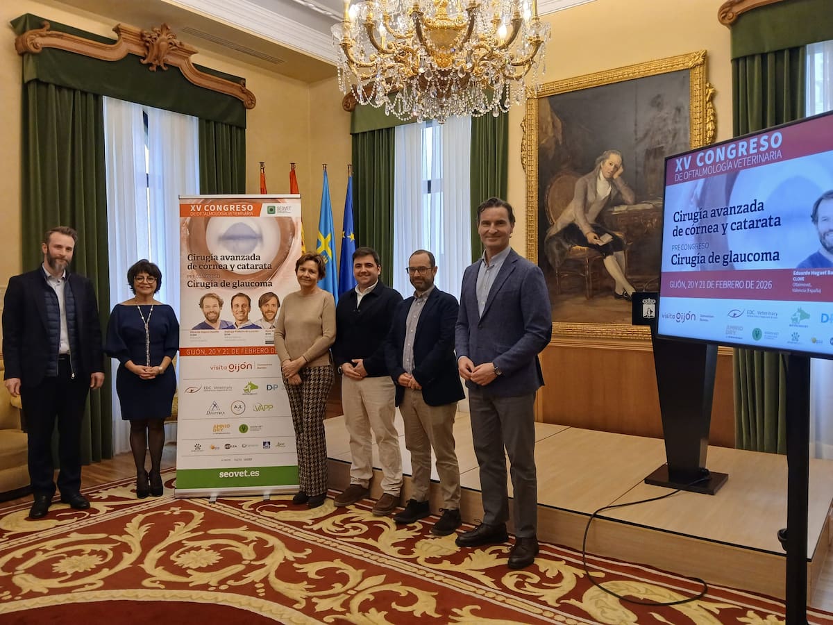 Gijón se convertirá este fin de semana en la capital de la oftalmología veterinaria
