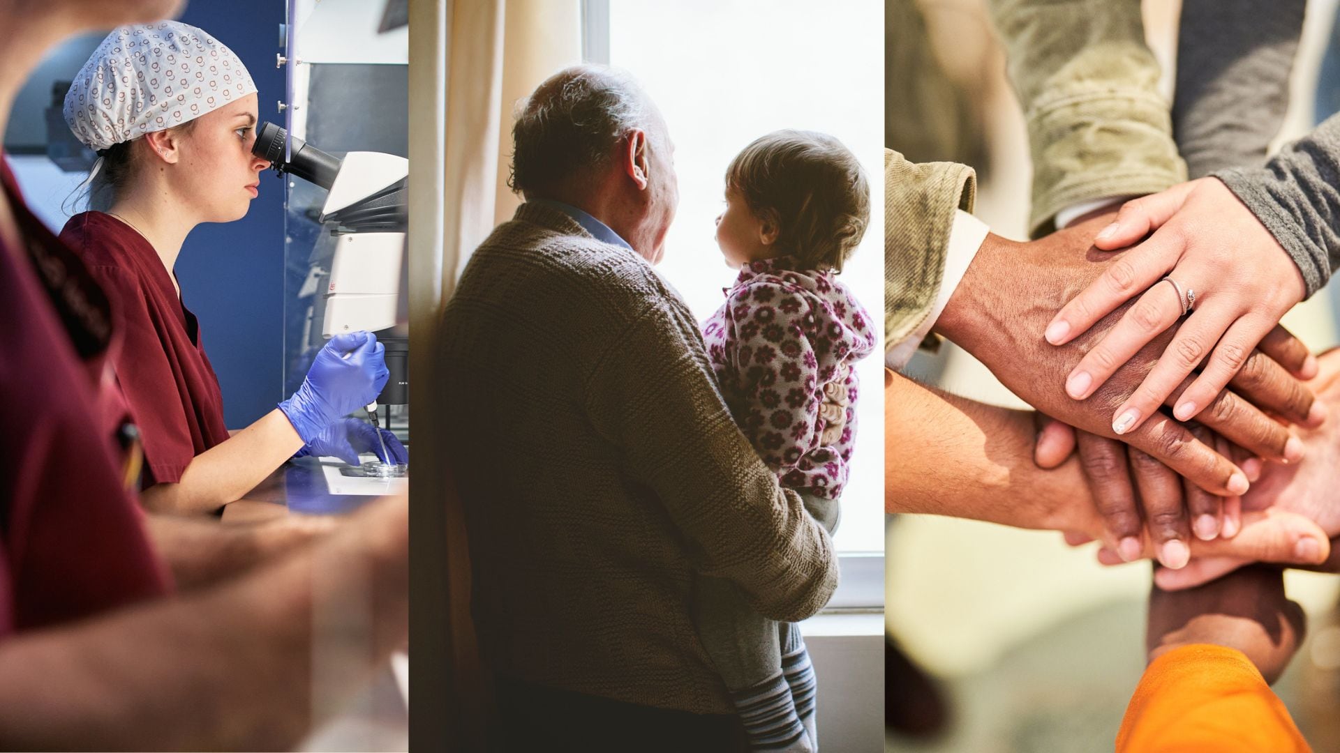 MPN España es una asociación que ofrece apoyo, información y acompañamiento a las personas diagnosticadas con neoplasias mieloproliferativas (enfermedades MPN).