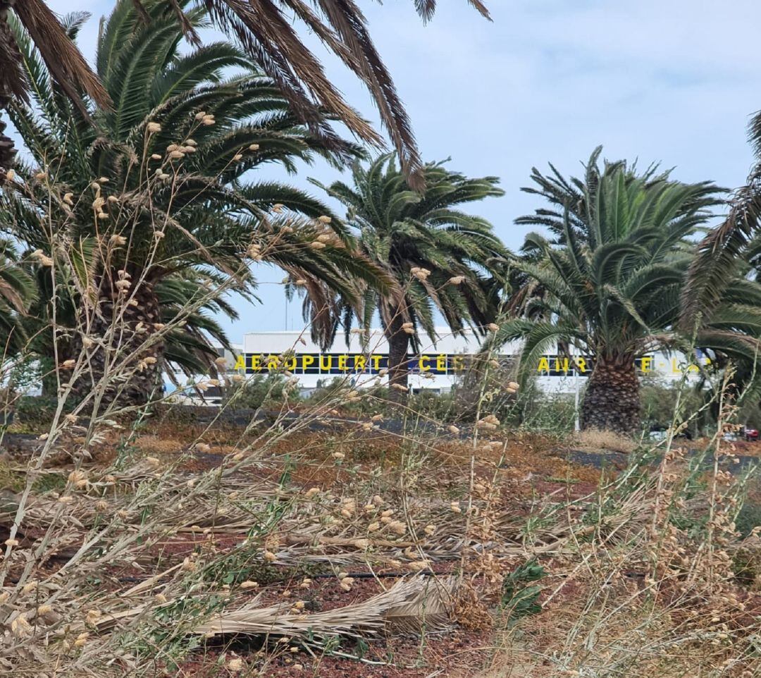 Aeropuerto César Manrique - Lanzarote.