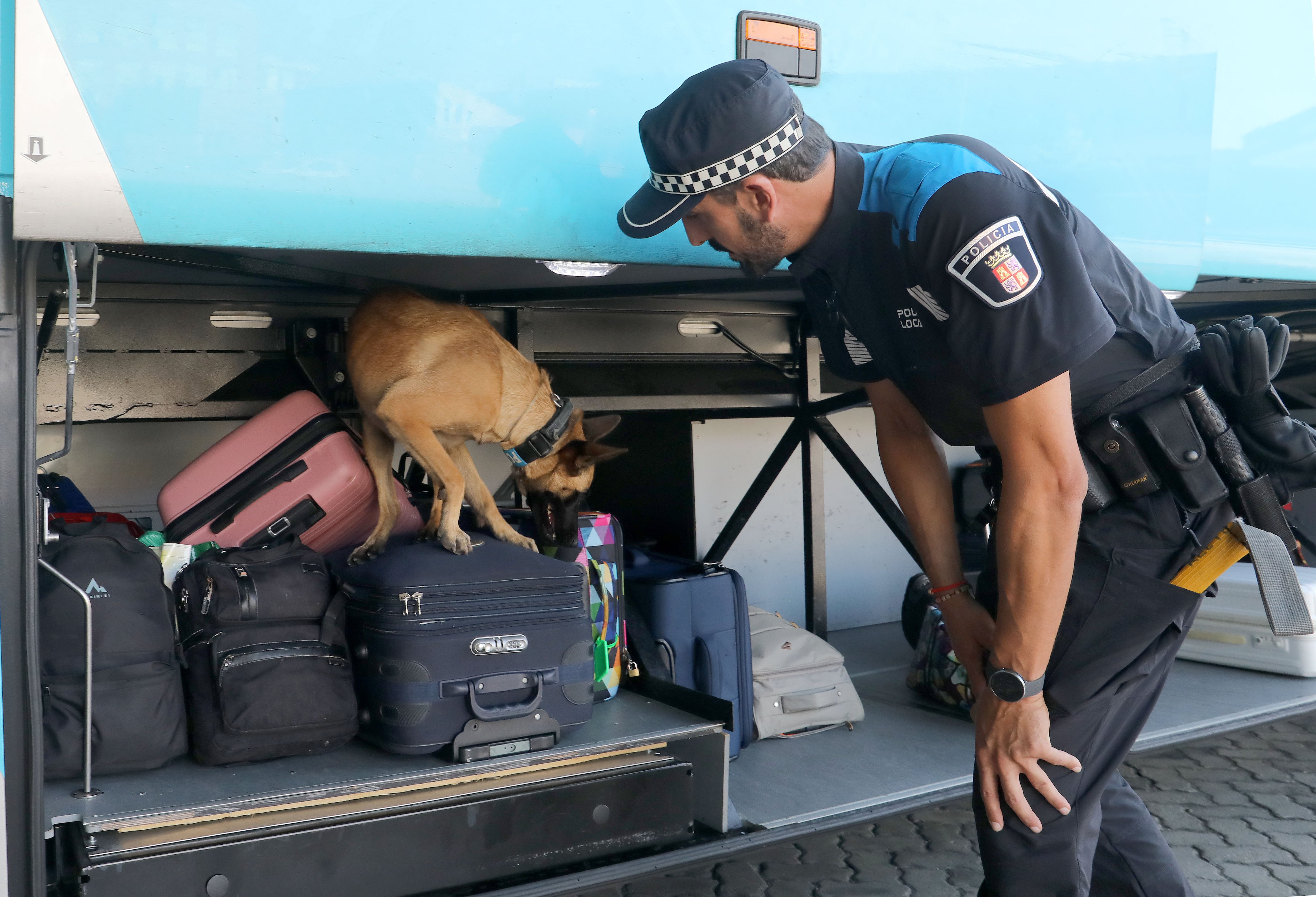 Unidad canina de la policía local de Palencia