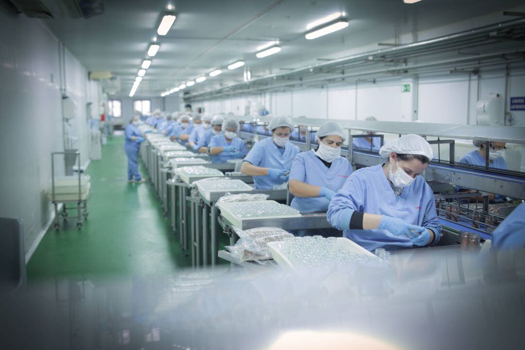 Trabajadoras de una empresa conservera de pescados