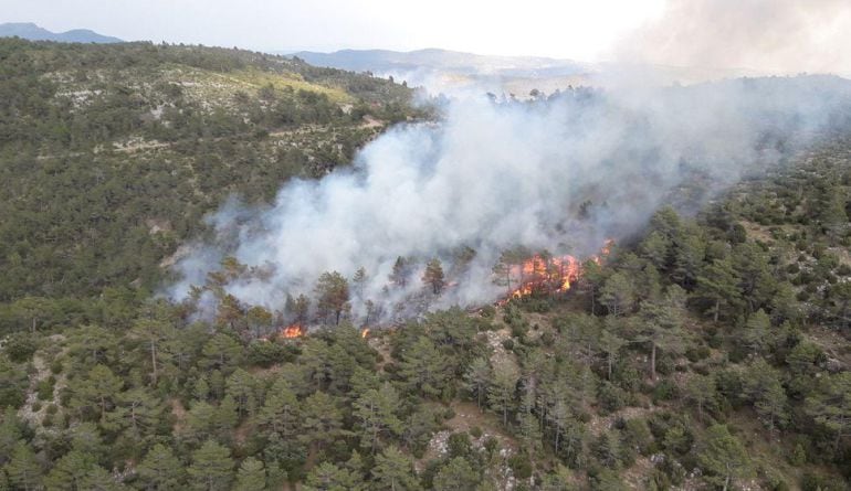 Incendio forestal en Villahermosa del Río