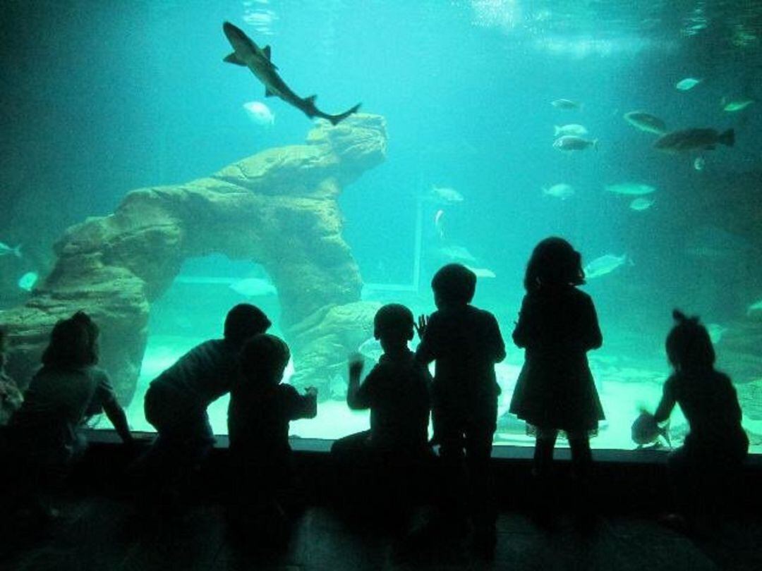 Museo Marítimo del Cantábrico.