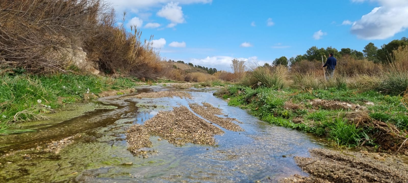 IU-Verdes Lorca anuncia una mejora la calidad del agua del río Vélez pero alerta de indicadores de contaminación biológica