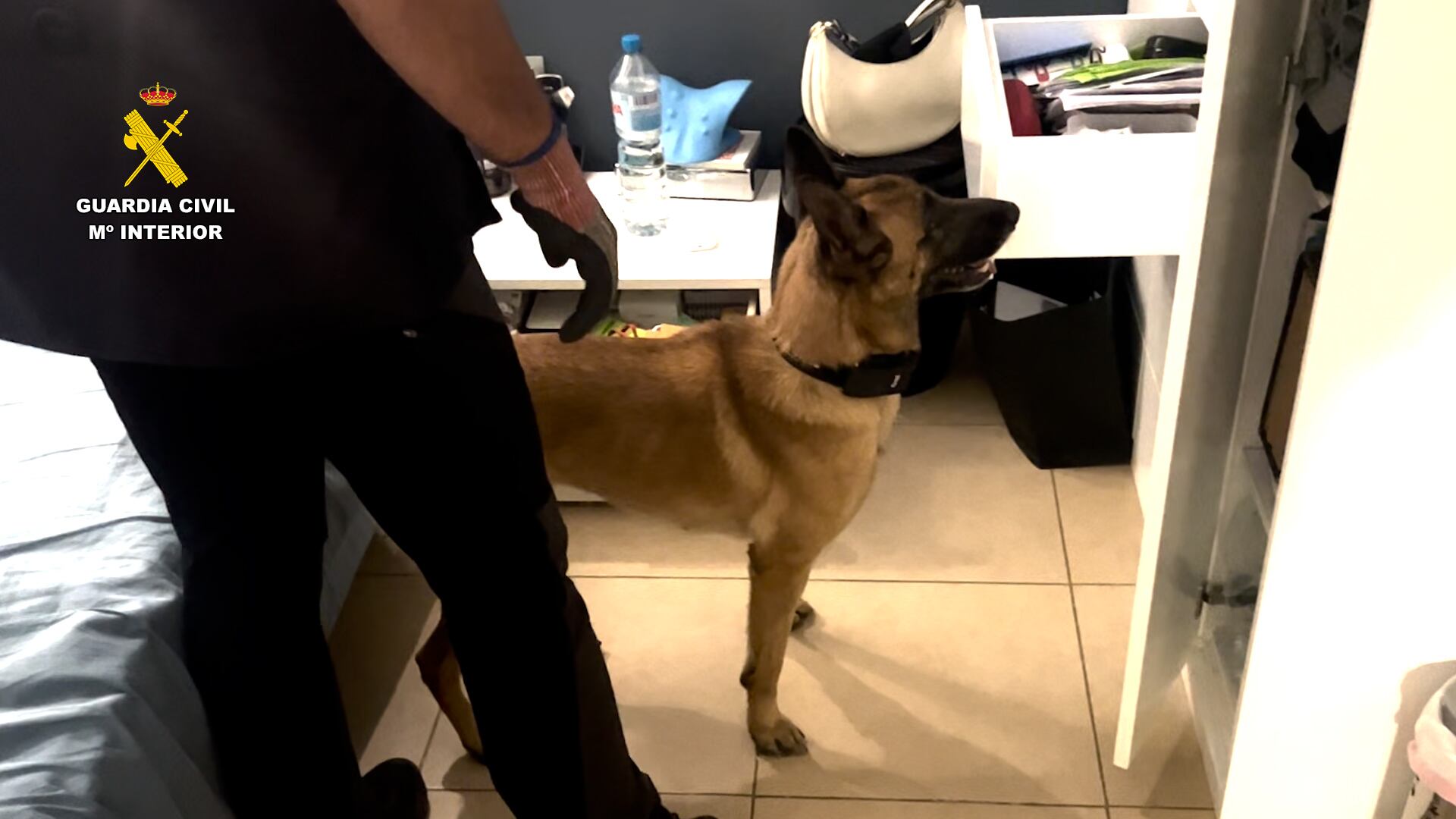 Imagen de la operación (OPC Valencia)