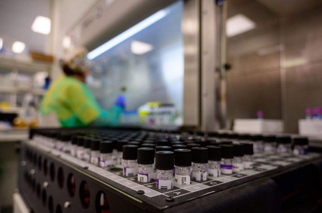 Muestras de pruebas PCR en un laboratorio. 