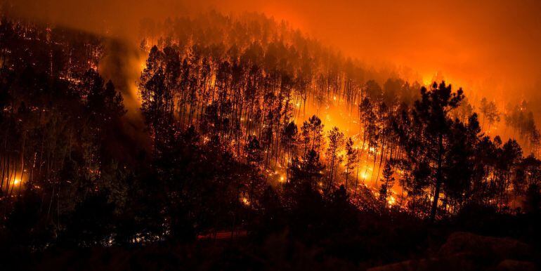 El parque de O Xurés resultó especialmente afectado