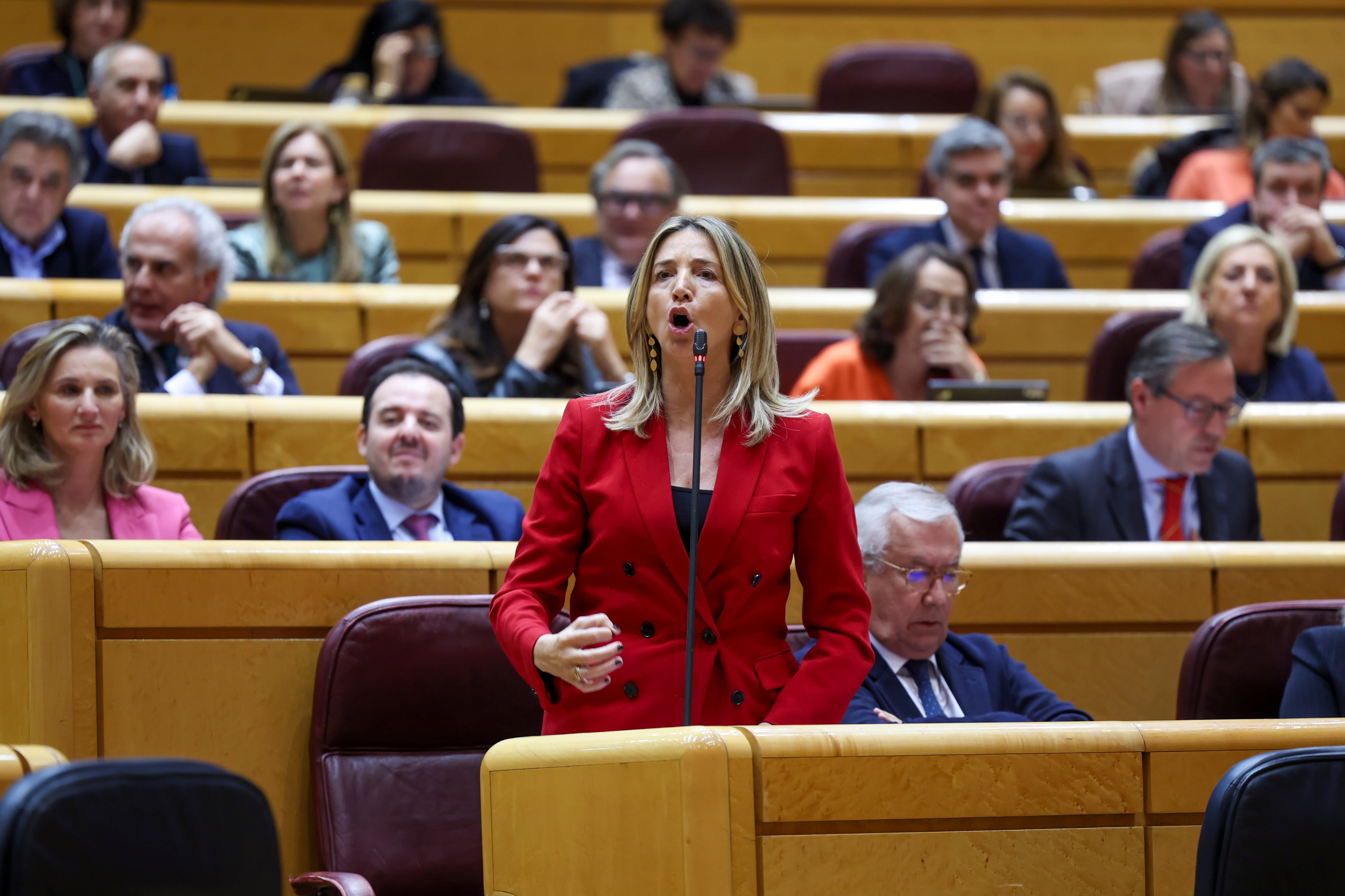 La senadora del PP Alicia García durante una sesión de control al Gobierno