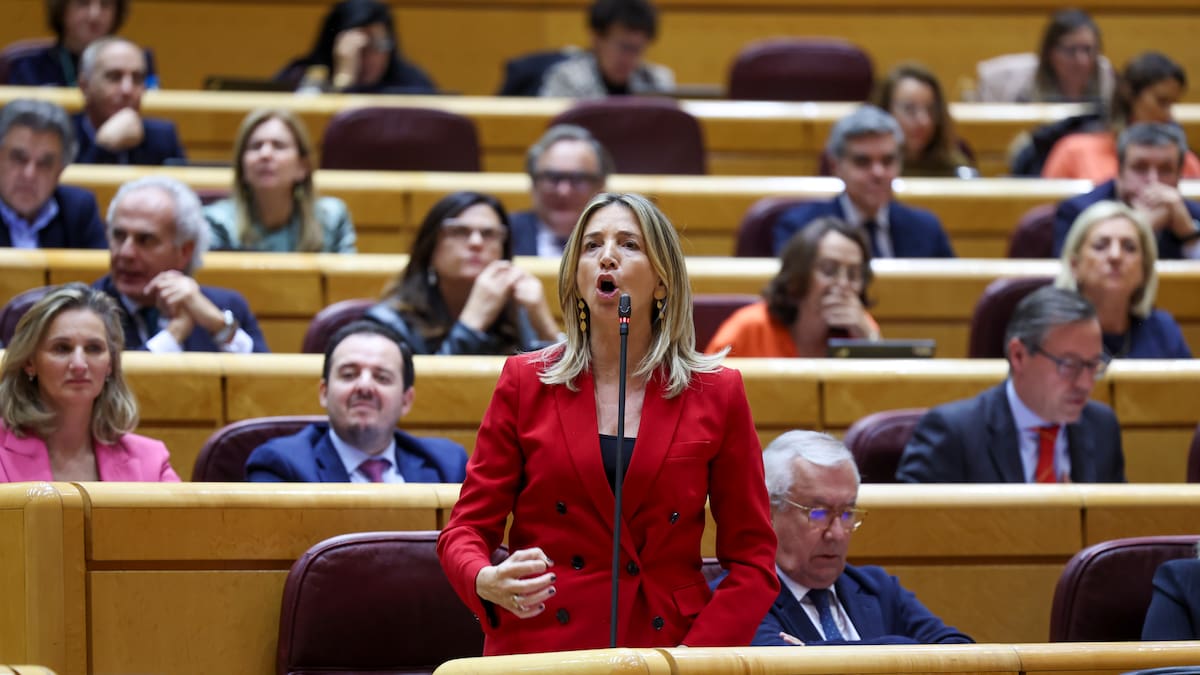 El PP anuncia la creación de una nueva comisión de investigación en el Senado sobre la SEPI