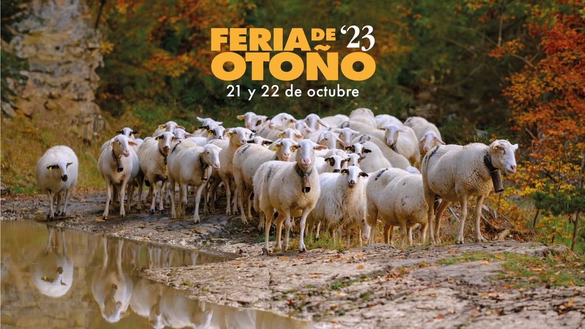 Maite Cotí, concejal de Ganadería y representante del Comité organizador de la Feria