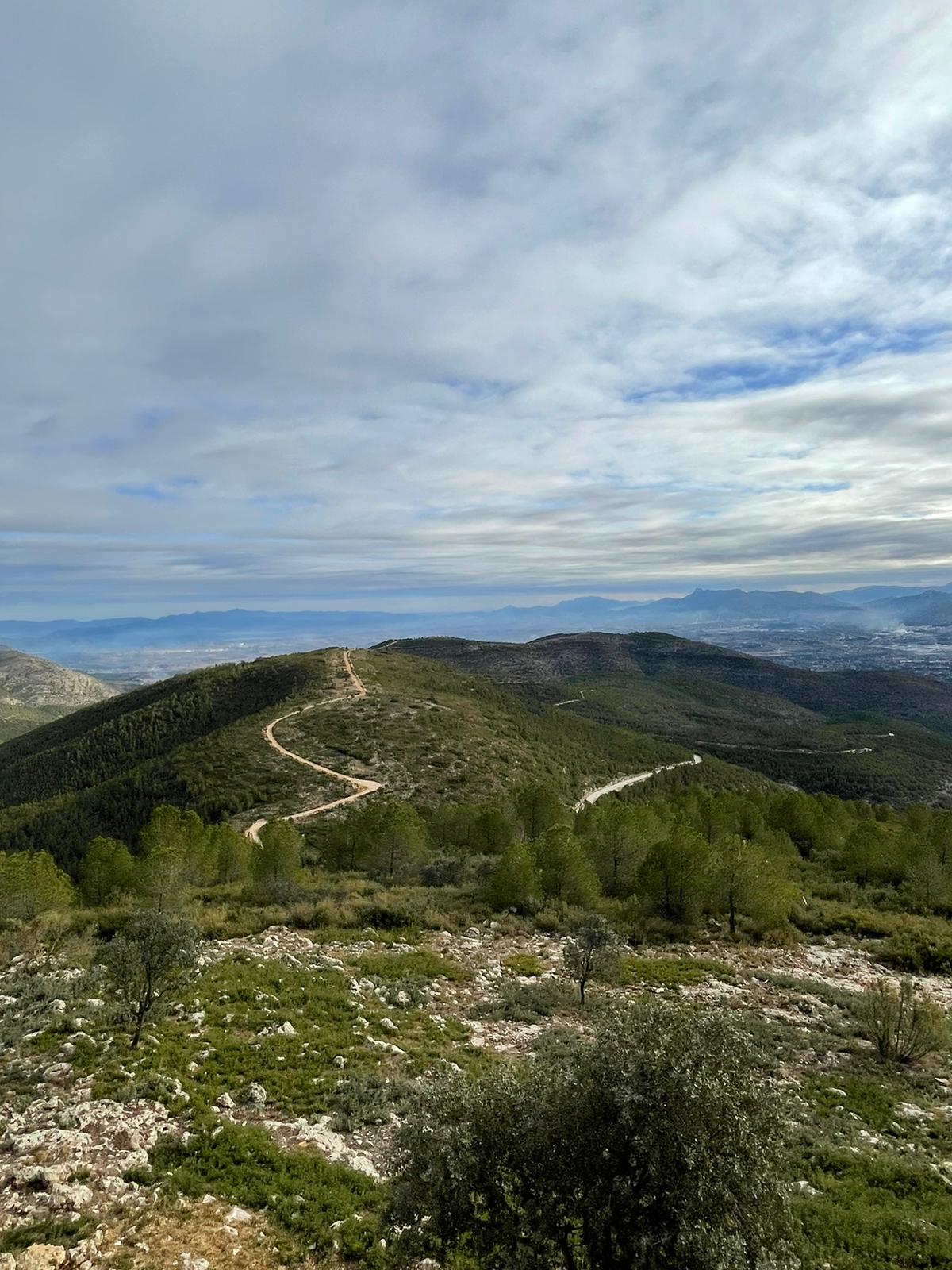 Nueva área cortafuegos entre la Costera y la Vall d&#039;Albaida