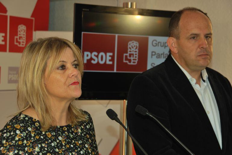 La socialista Ana Agudíez durante una comparecencia de prensa junto al también procurador José Luis Aceves