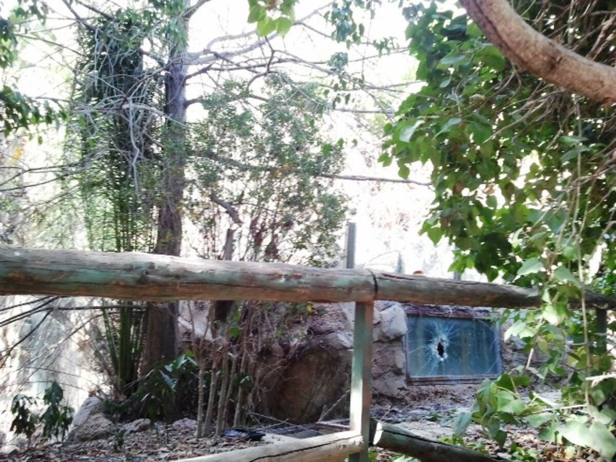 Desde el exterior se observa cómo algunas de las instalaciones que albergaban animales están rotas