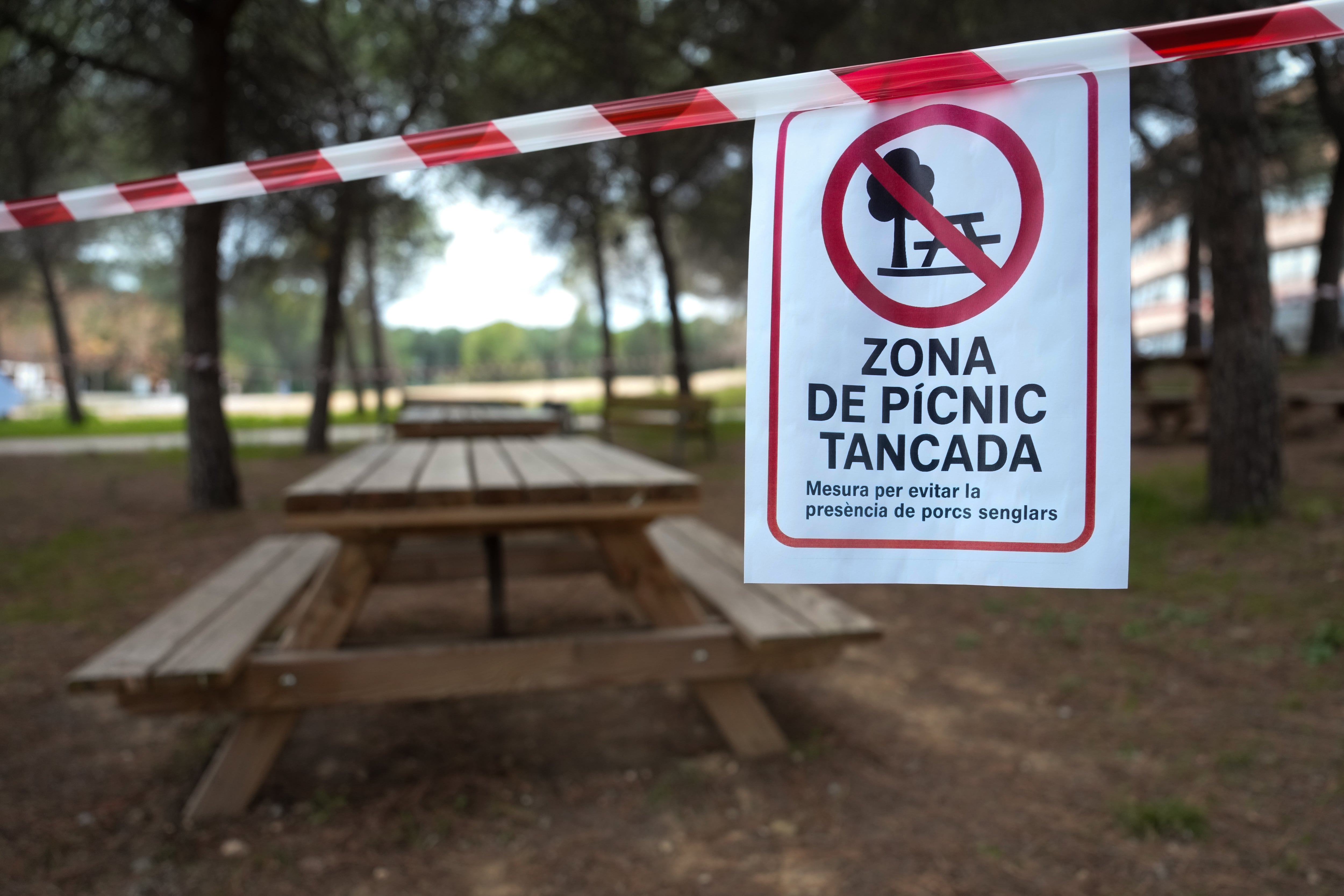 Zonas de picnic cerradas tras un cartel alertando de la presencia de la peste porcina africana.