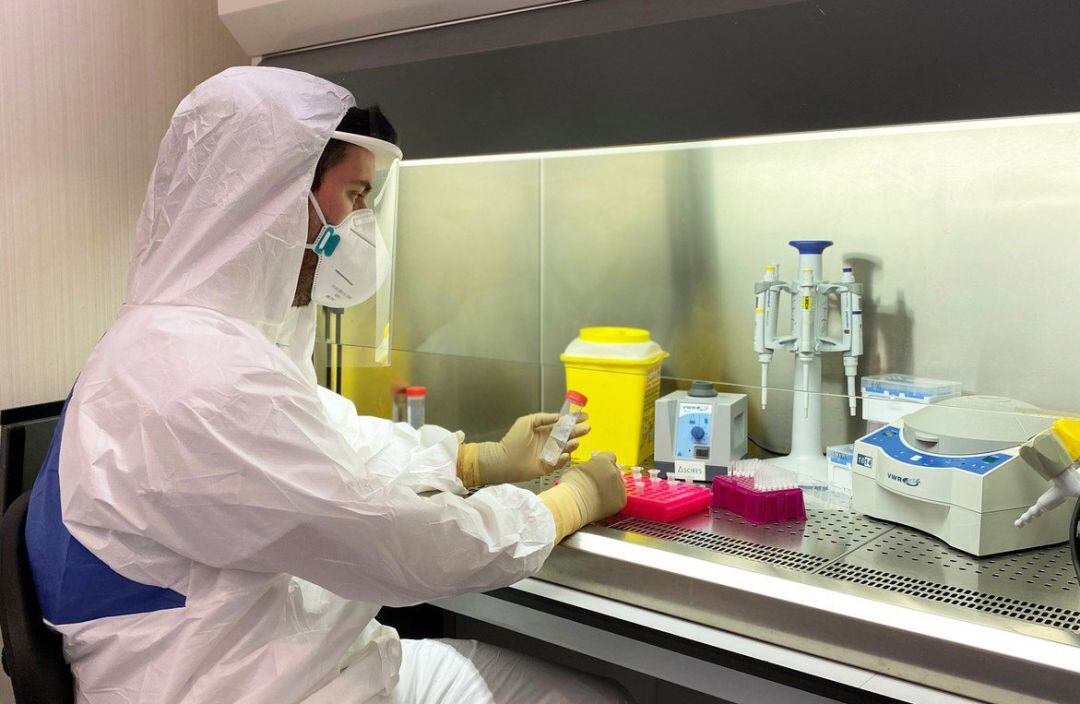 Un sanitario examina varias muestras de pruebas diagnósticas de Covid-19.