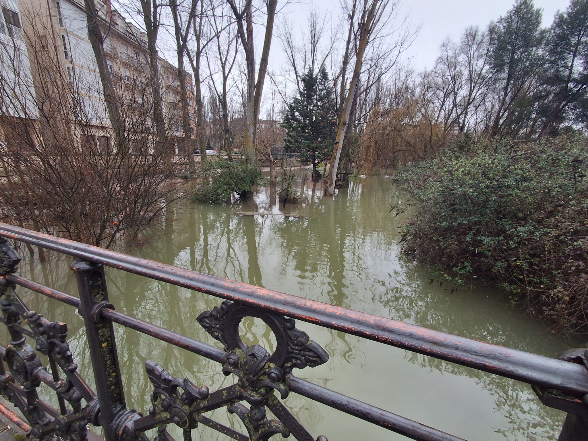 El Bañuelos, antes de su desembocadura