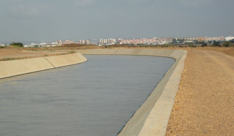 Canal para regadio del Bajo Guadalquivir  con Sevilla al fondo/ Foto: GARCIA CORDERO