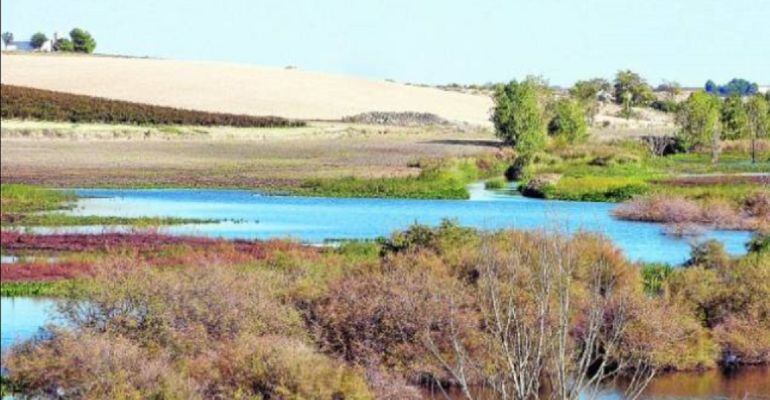 Imagen de los Ojos del Guadiana en 2012