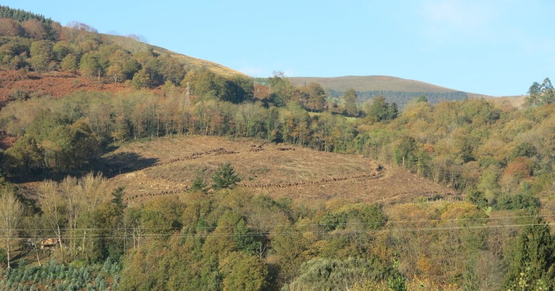 Monte Las Hoyas, en Cabuérniga. 