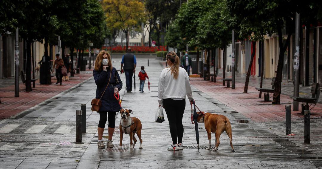 Paseos de adultos con niños y otros con perros en la calle Asunción de Sevilla, este lunes segundo día en el que casi seis millones de niños menores de 14 años pueden salir a la calle una hora al día