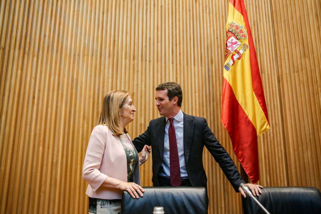 El presidente nacional del Partido Popular, Pablo Casado, preside la reunión de los grupos parlamentarios del Congreso y del Senado, en la Cámara baja 