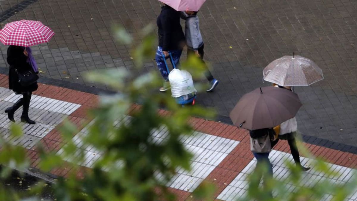 2026 arranca en Euskadi tras un 2025 muy cálido y seco: así será el tiempo en los primeros días del año