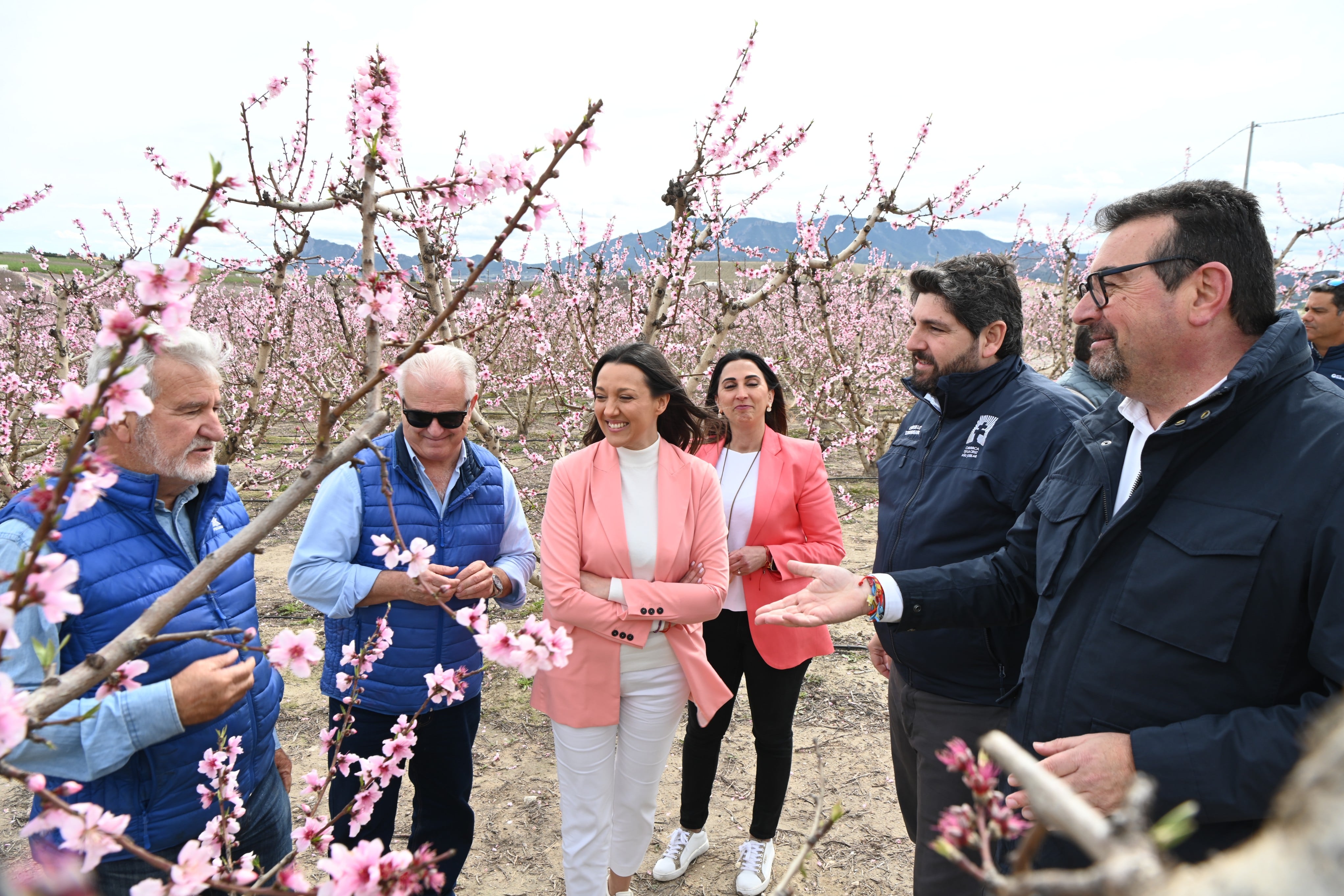 López Miras resalta en Cieza que la floración es “un espectáculo de la naturaleza que une dos de nuestros pilares: agricultura y turismo&quot;