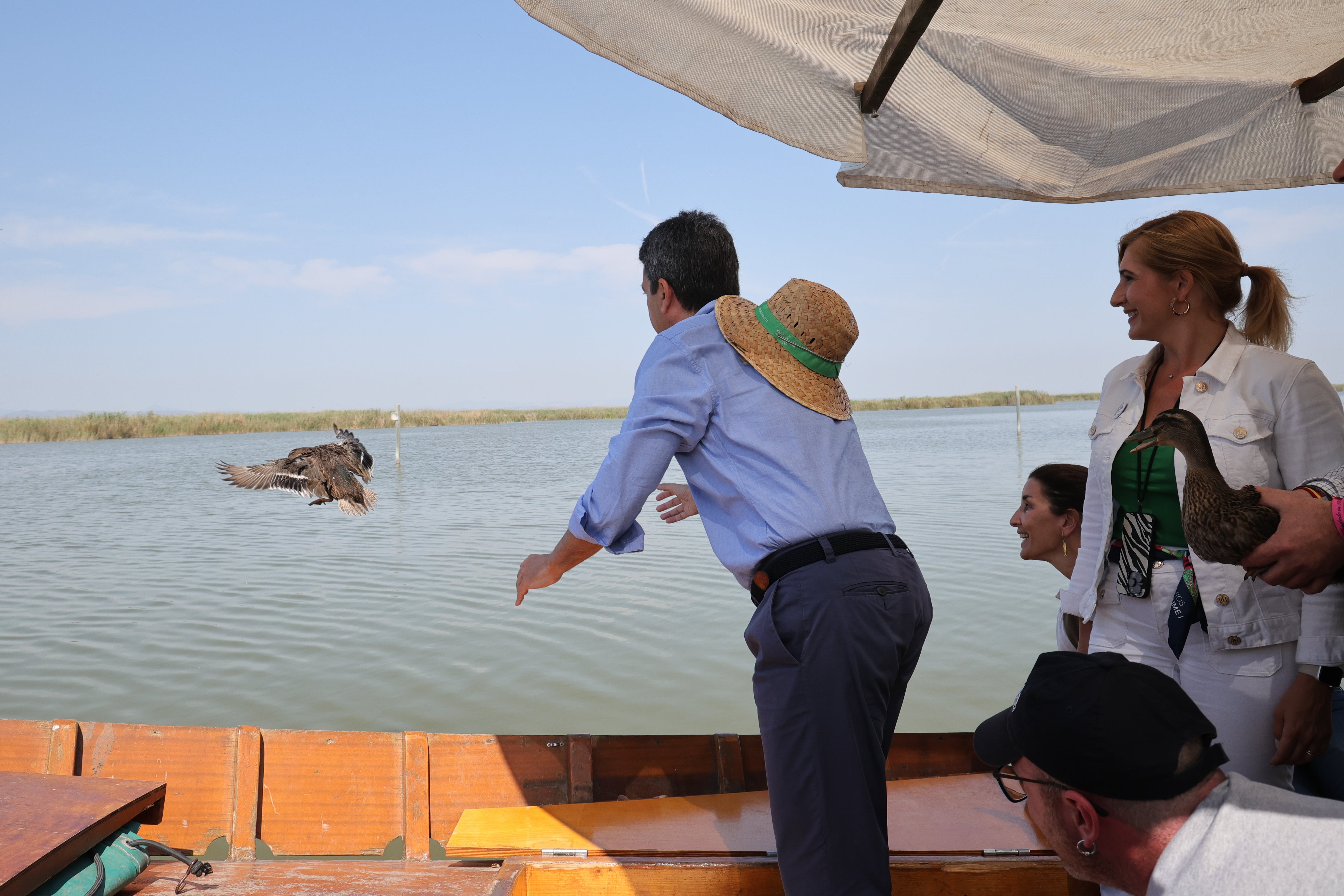 Suelta de patos en l&#039;Albufera de València