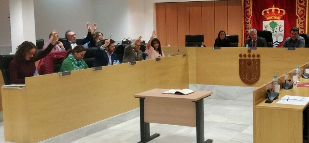 Pleno municipal de San Sebastián de los Reyes