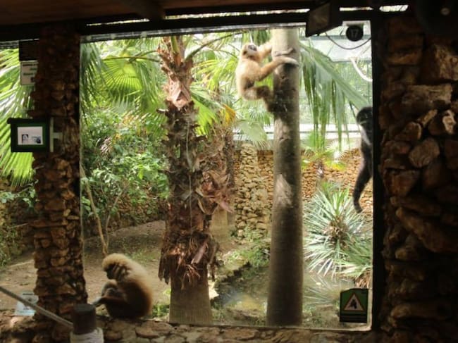 Animales en el zoo de Castellar