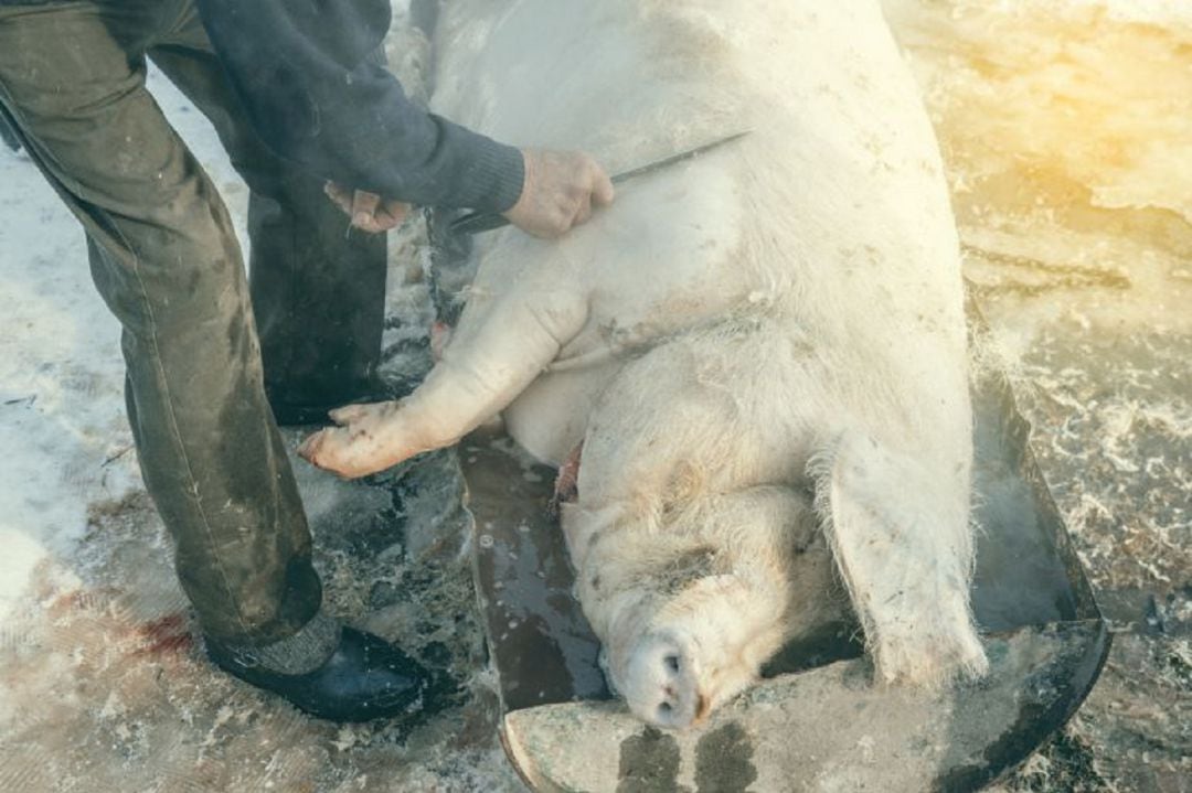 Villada (Palencia) elude sanciones por ferias de la matanza