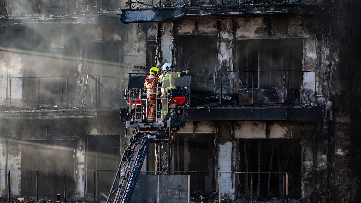 Entrevista Fernando Avellanas
