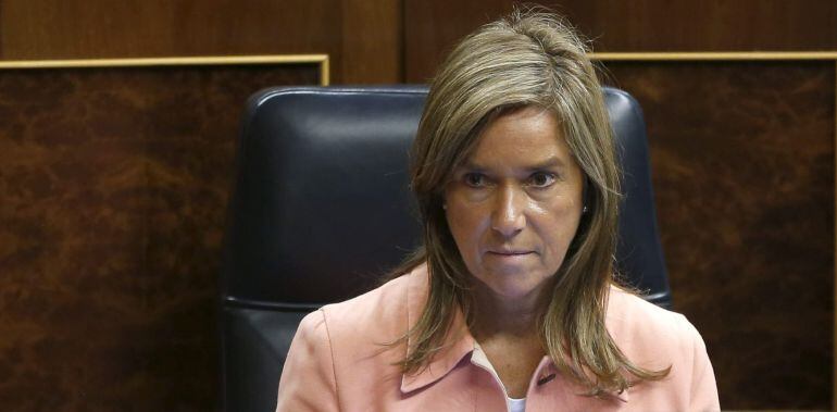 La ministra de Sanidad, Ana Mato, durante un pleno en el Congreso de los Diputados.