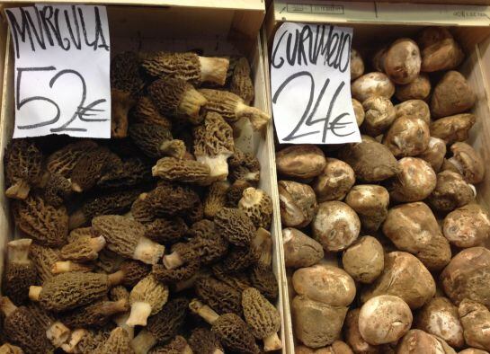 Múrgula y gurumelo en el puesto Petràs (La Boqueria).