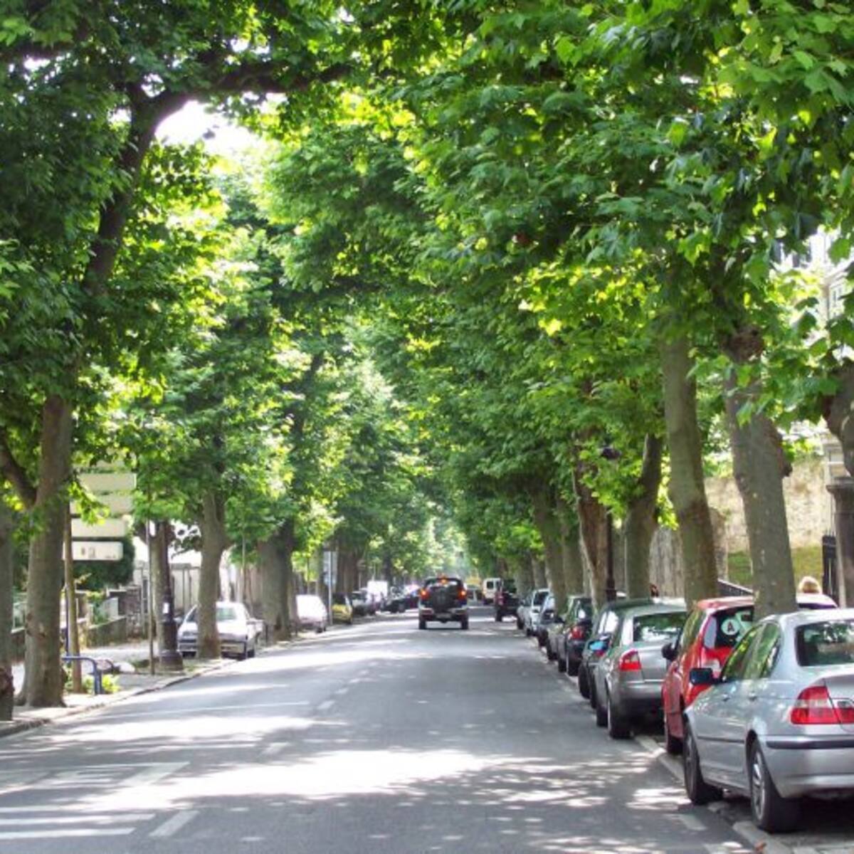 Rompen la ventanilla de un coche para robar en Santander y les sorprende su dueño, policía local