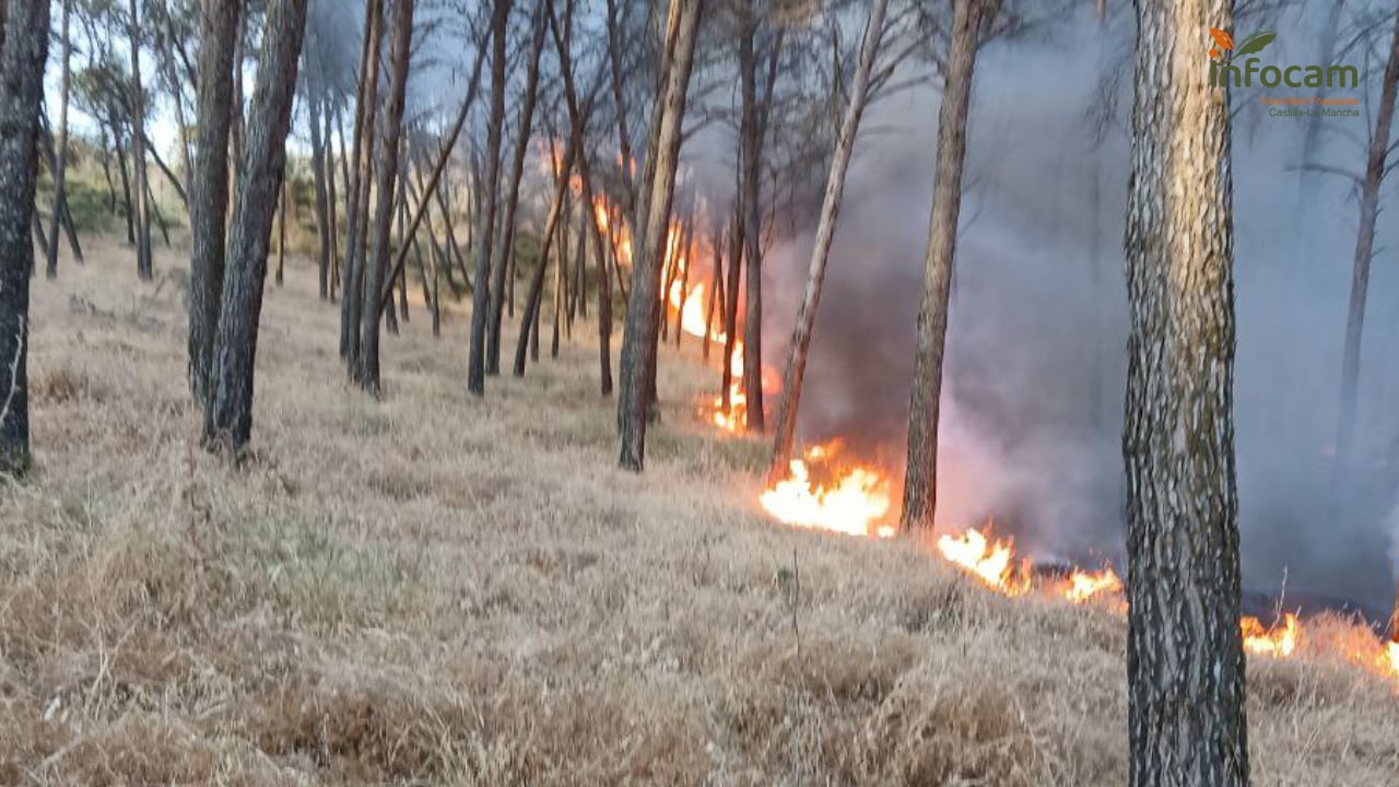 Incendio en la Dehesa de Valdellozo, Talavera de la Reina