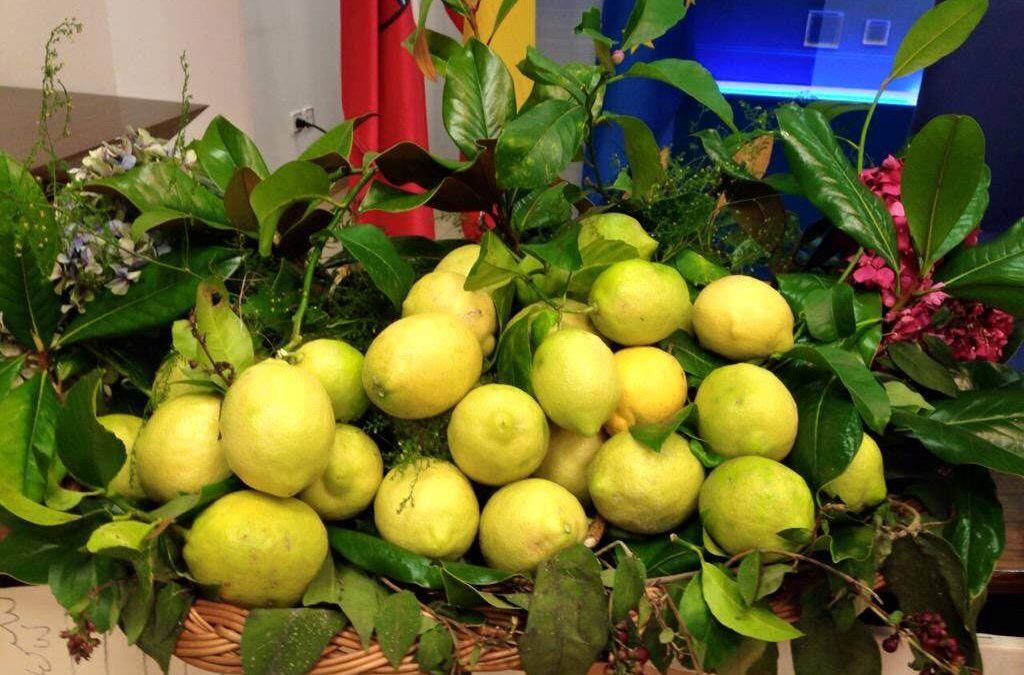 En la fiesta de los Limones de Novales Solidarios están en busca del premio al "Mejor Limón"