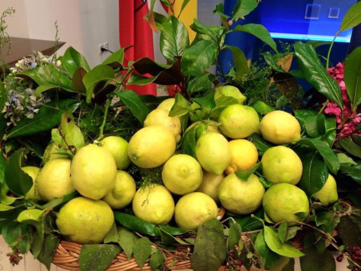 Novales celebrará este sábado su fiesta de los 'Limones Solidarios'