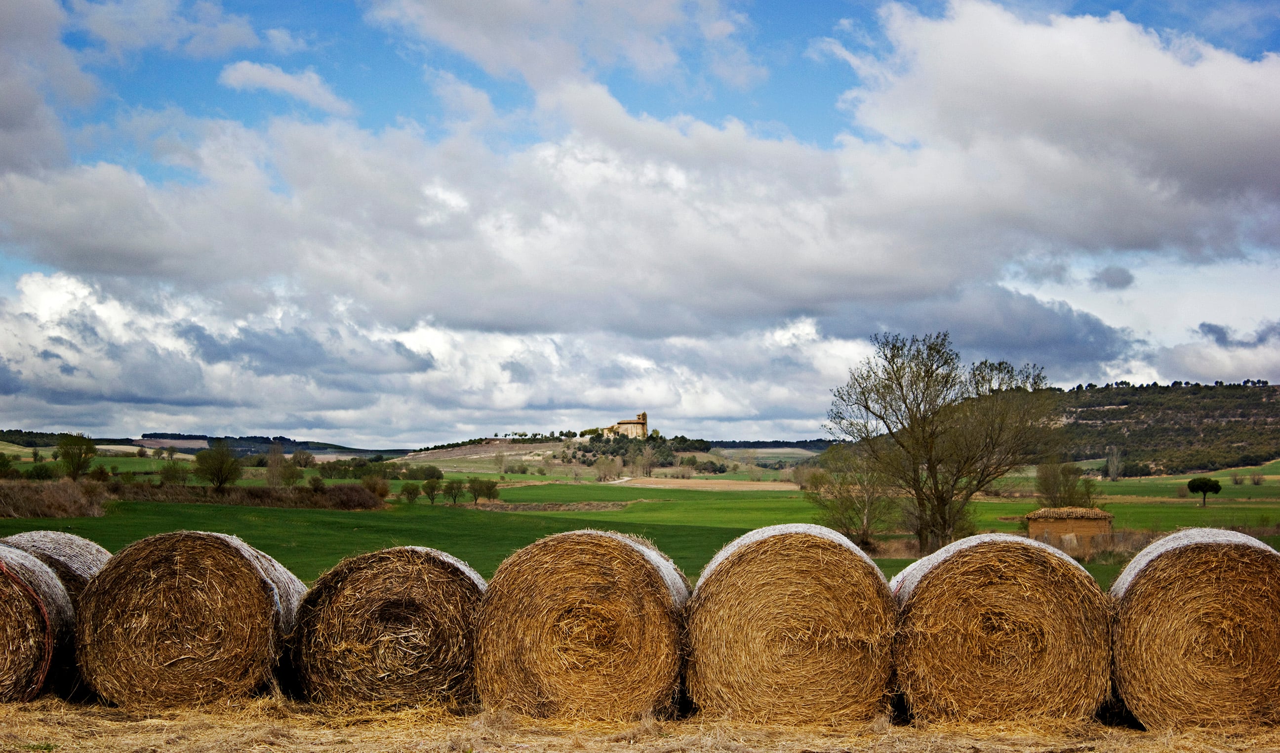 Zona de Astudillo (Palencia)