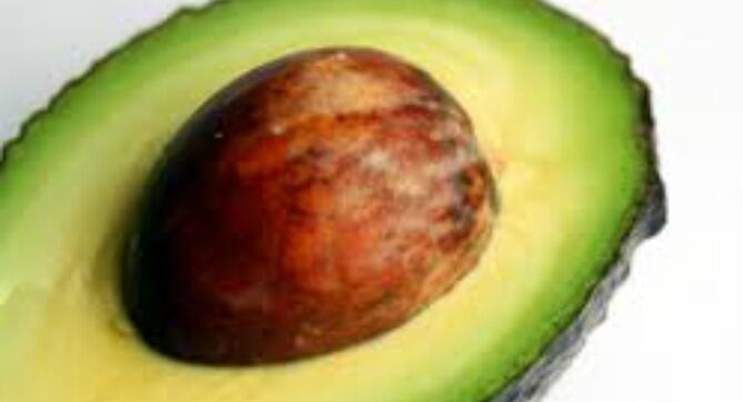 Aguacate