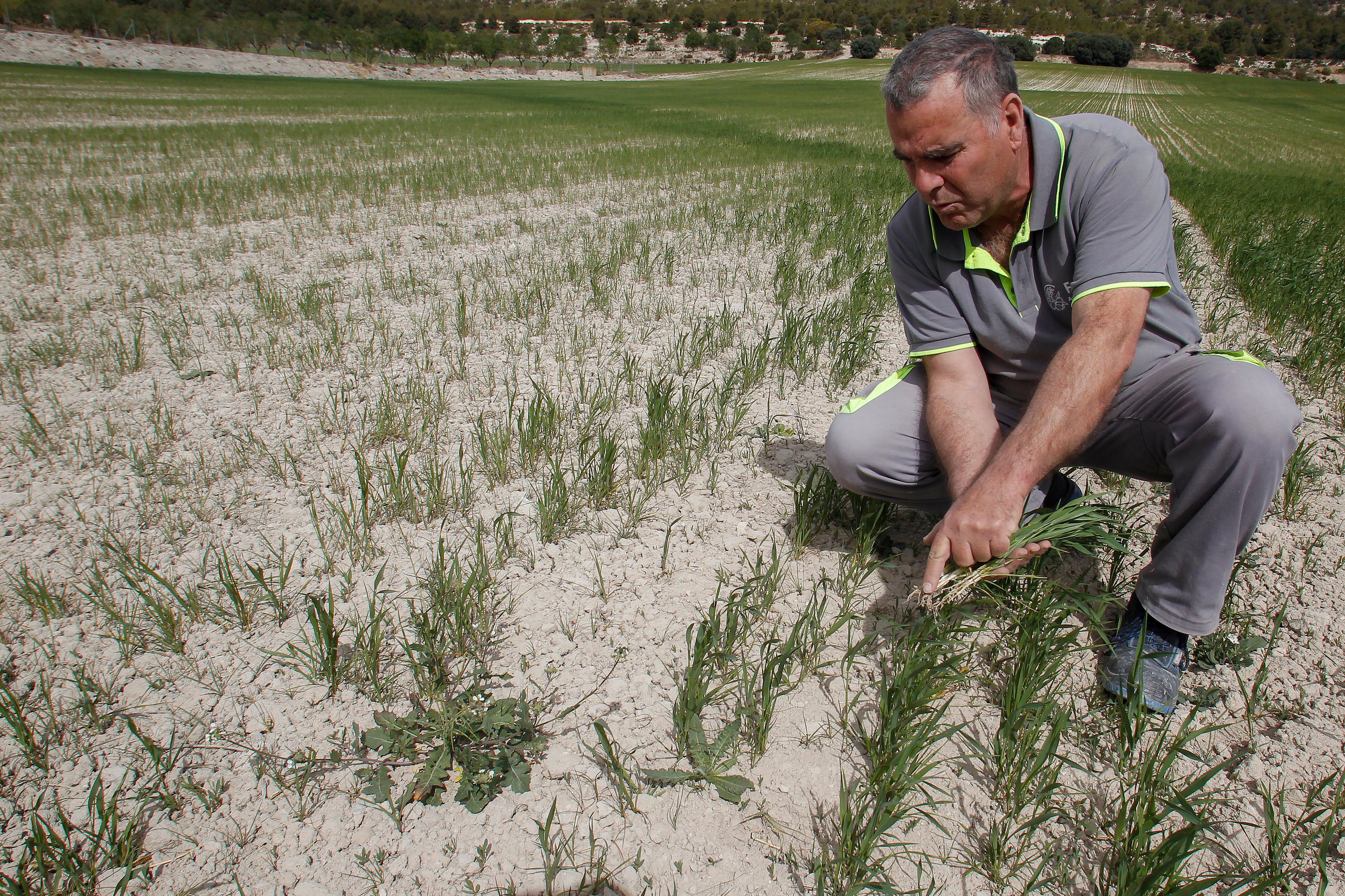 Se reducen los módulos en agricultura y ganadería para intentar paliar los efectos de la sequía