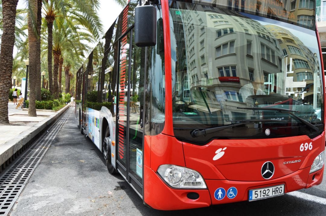 Imagen de archivo de un autobús urbano en el fondo de saco de la Explanada