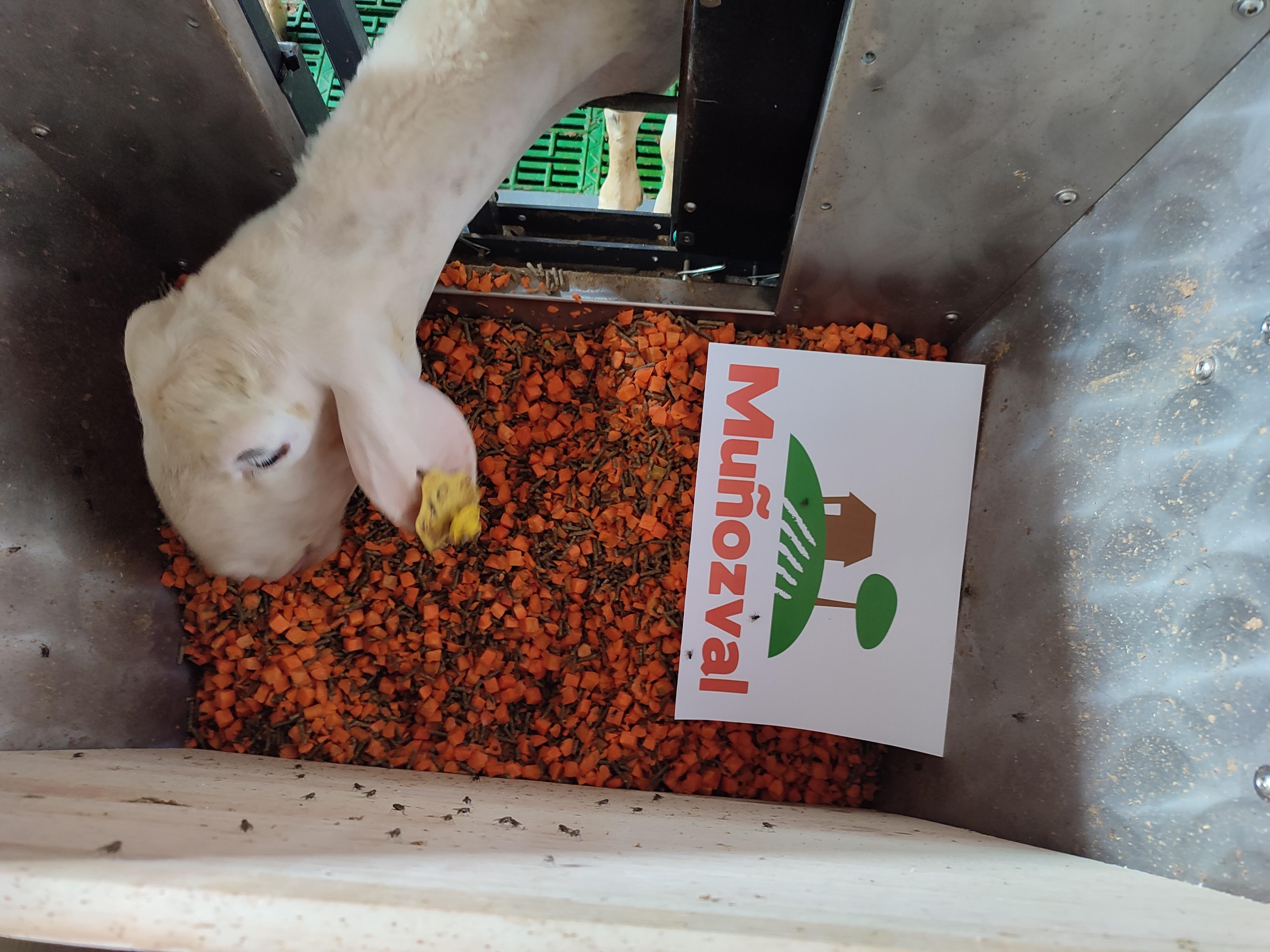 Este estudio se enmarca en un proyecto financiado por la Agencia Estatal de Investigación con la colaboración de la empresa Muñozval