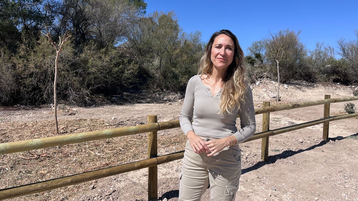 Elda destina 120.000 euros a un plan de restauración ambiental contra vertidos incontrolados