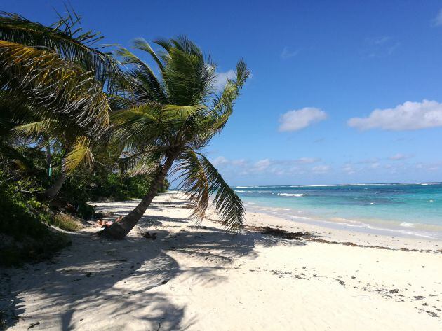 ¿La mejor playa del mundo?