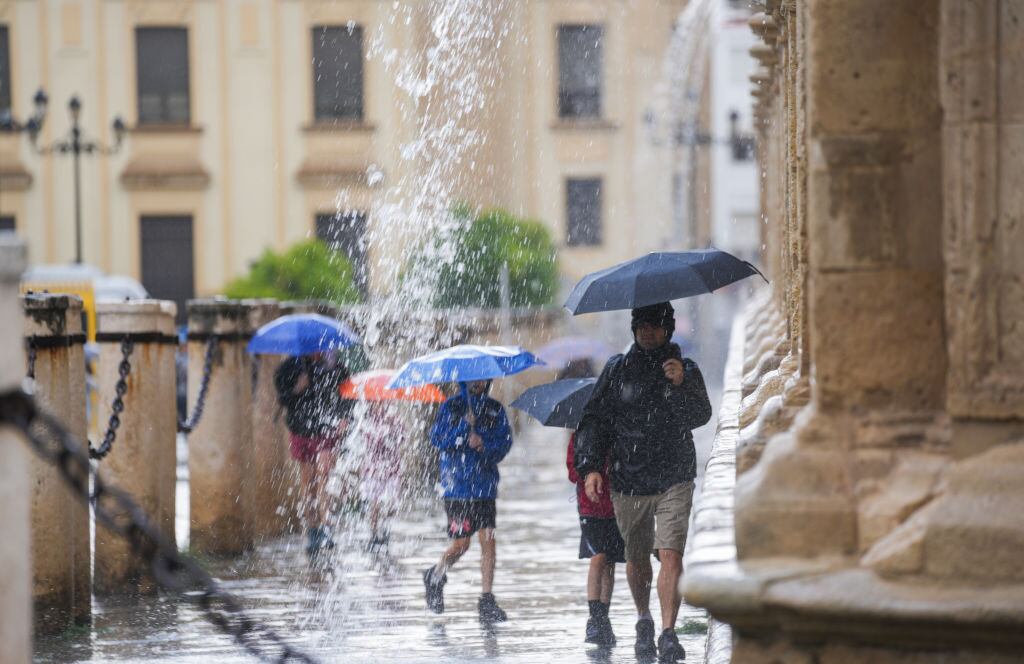 Imágenes de la DANA a su paso por Sevilla hace unos días, con un rastro de lluvias y fuertes tormentas.