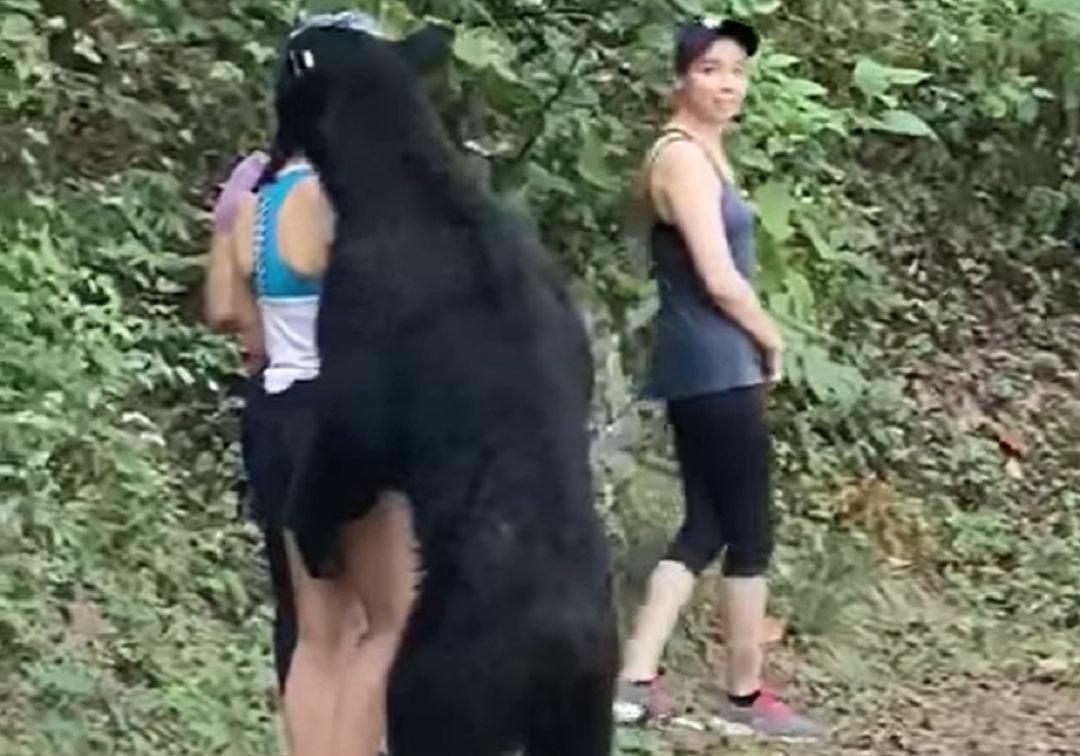 Fotograma del vídeo grabado en el Parque Ecológico.