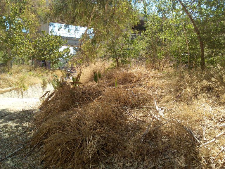 Imagen de la zona del Valle Trenzado en el río Vinalopó