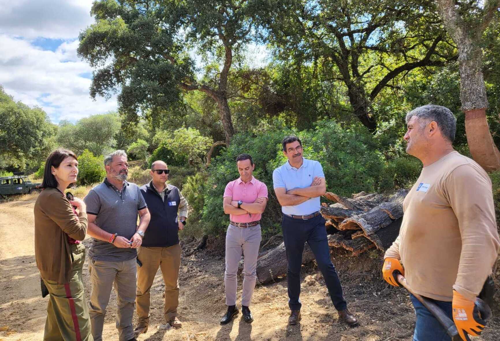 Los trabajos ya han comenzado en los Montes de Propio