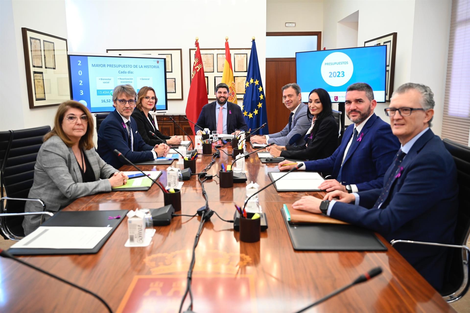 Consejo de Gobierno de la RM